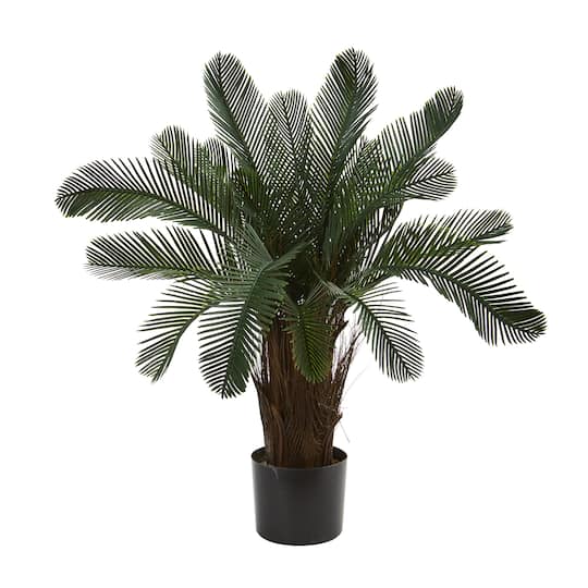 2ft. Potted Cycas Tree
